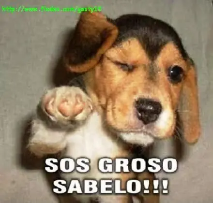 Sos groso sabelo