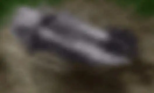 paranormal