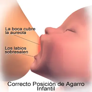 bebe
