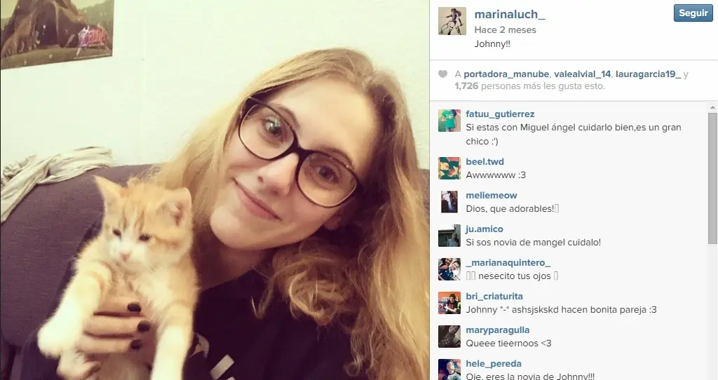 mangelrogel