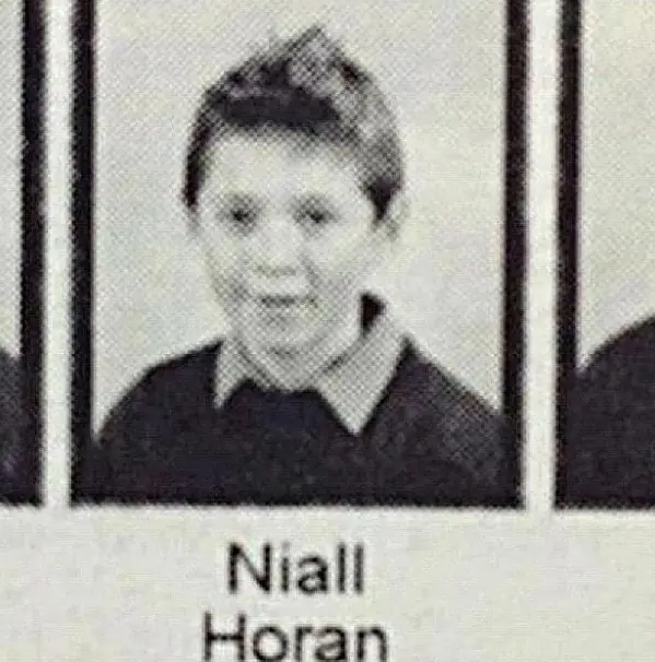 Niall Horan (1D)