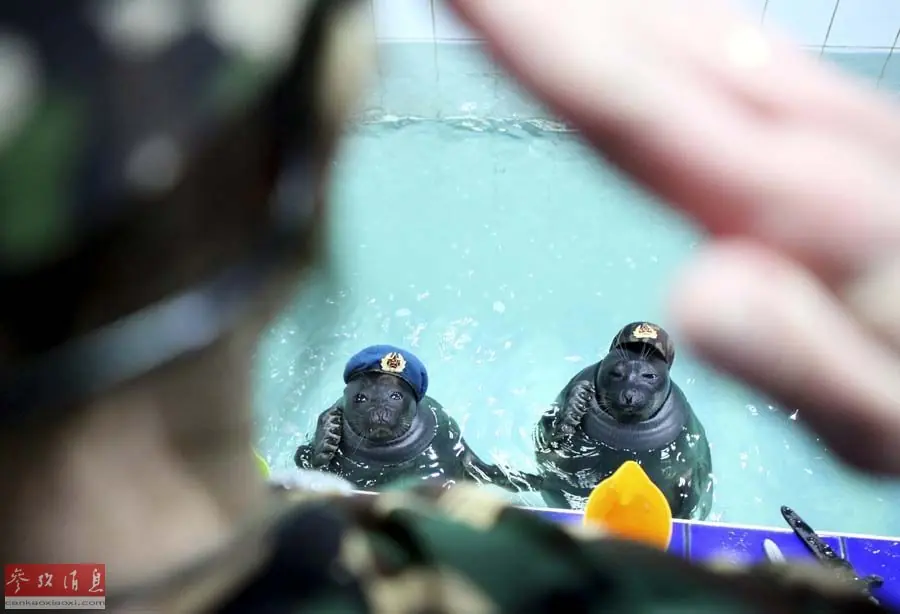militar