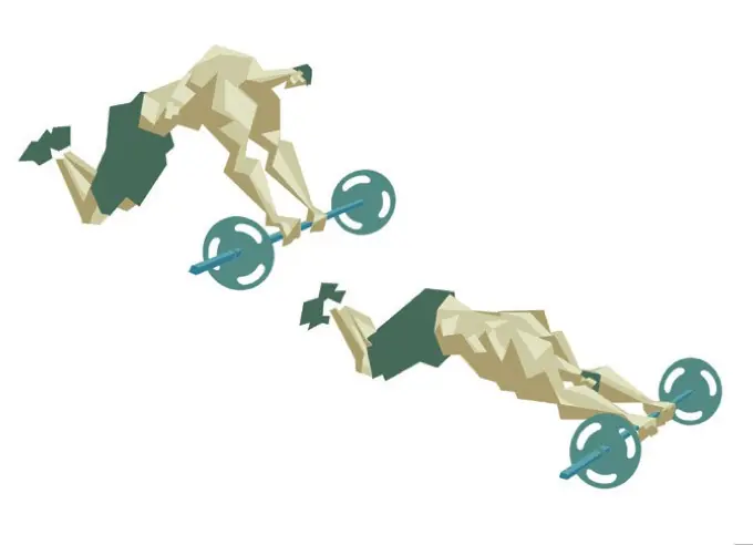 tus musculos