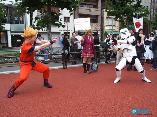 Estilo de Vida: ''Otakus''