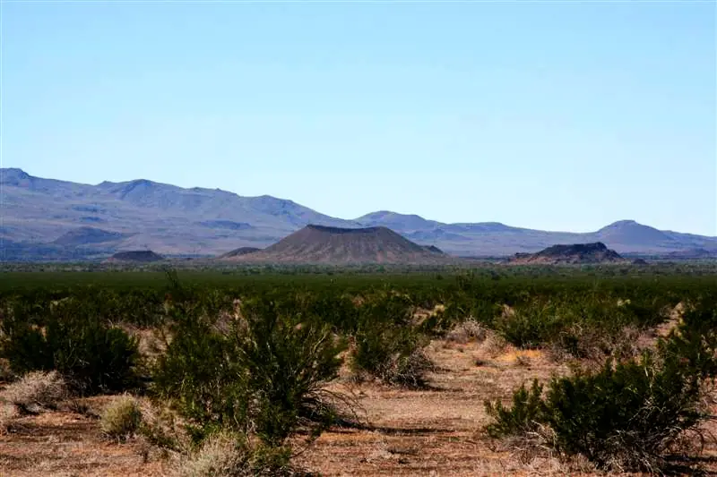 sonora