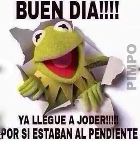 humor grafico