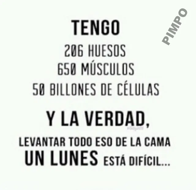 imagenes