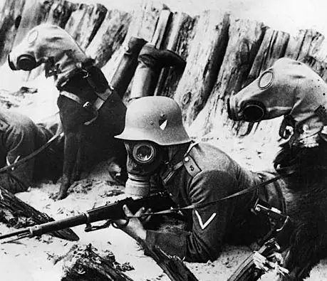 historia militar historia militar