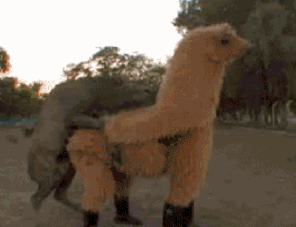 educacion sexual en el mundo