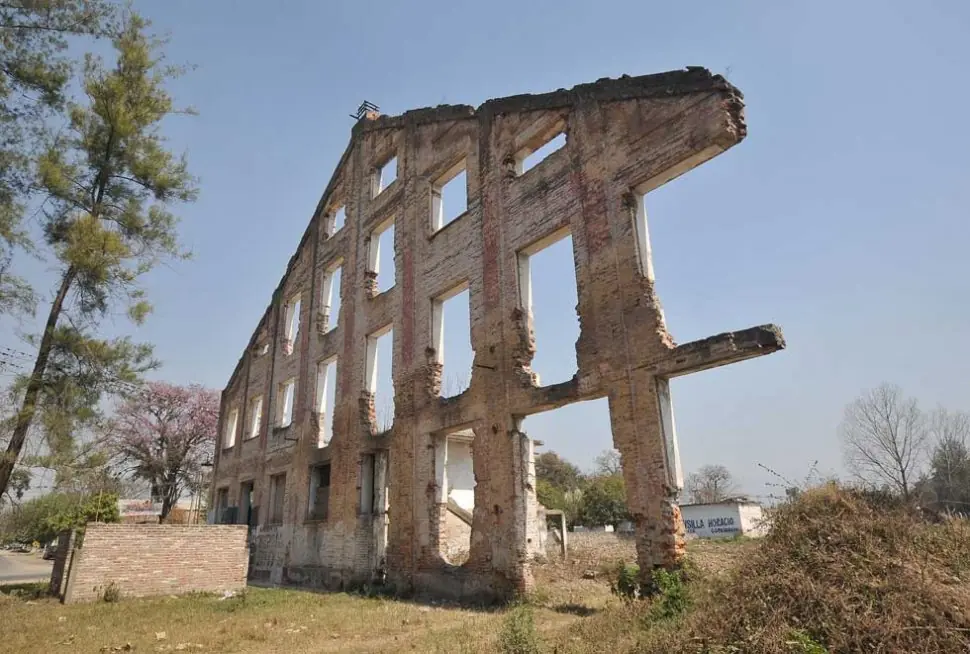 Relatos de terror Taringueros, entra mostro (Bonus Post)