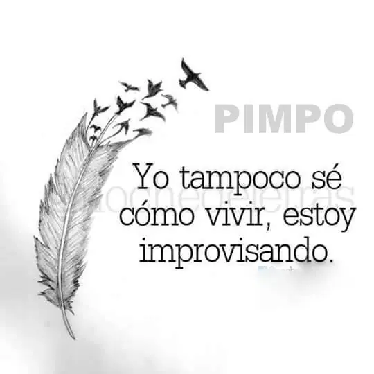 humor grafico