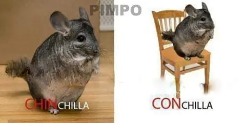 HUMOR y mas ...42 para todos los gustos