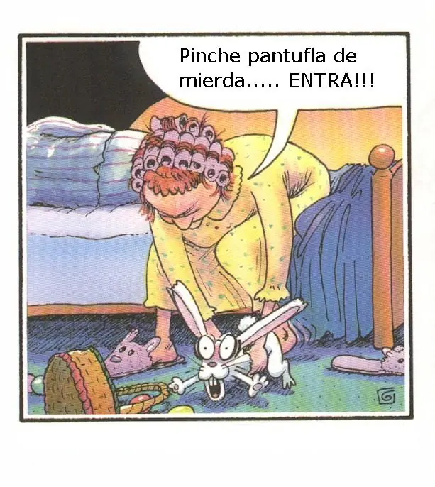 chistes en fotos y dos video de polo polo