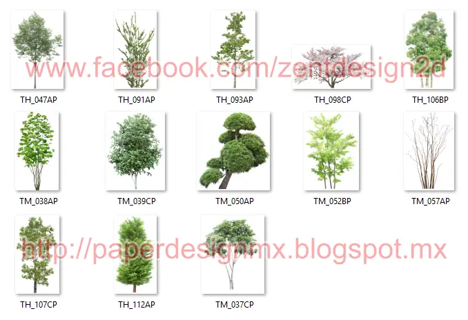 arquitectos tree png
