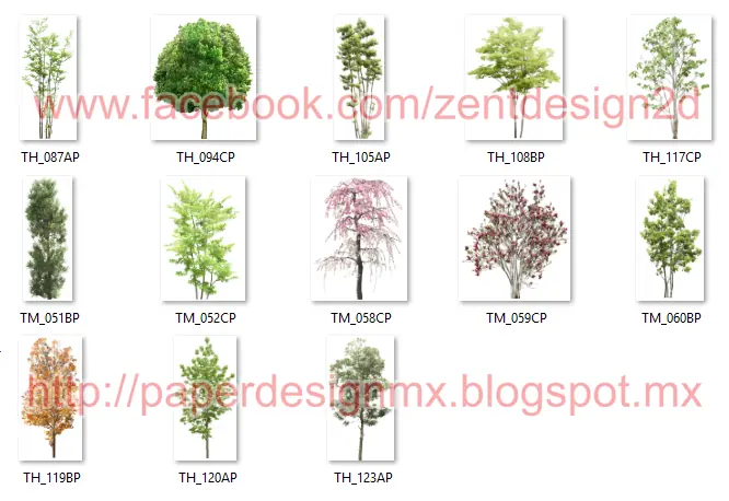 arquitectos tree png