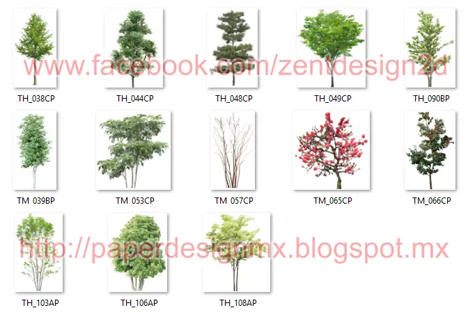 arquitectos tree png