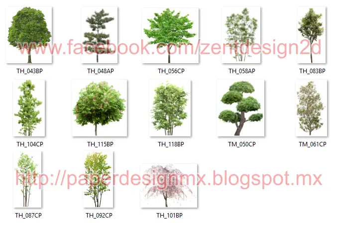 pngtree