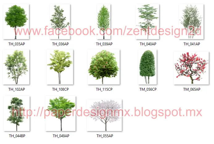 260 Arboles - PNG
