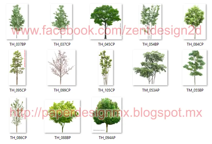 arquitectos tree png