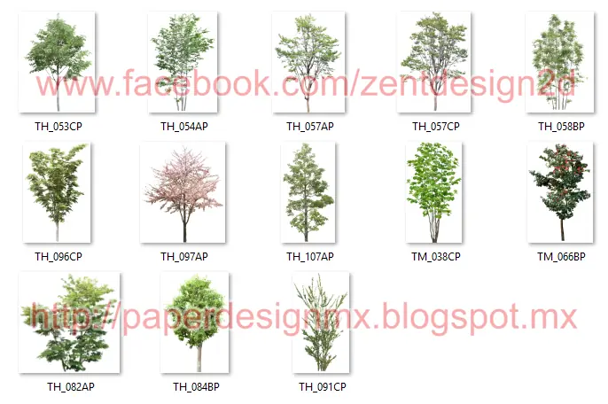 260 Arboles - PNG