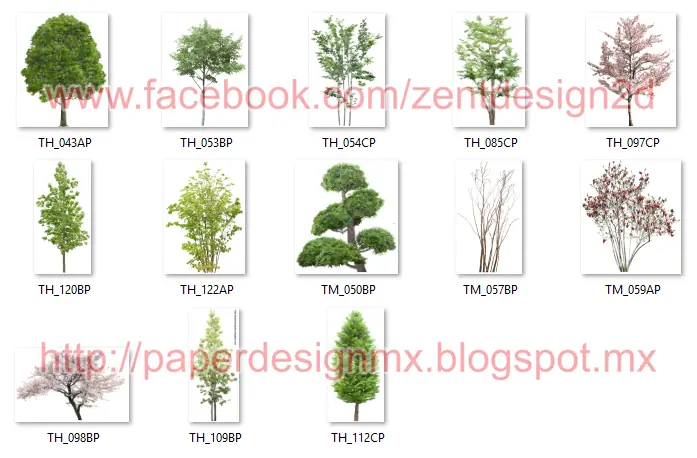 260 Arboles - PNG