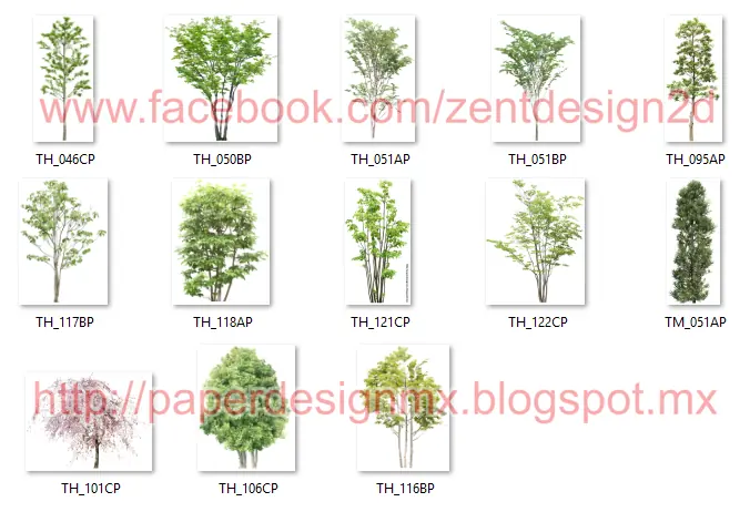 260 Arboles - PNG