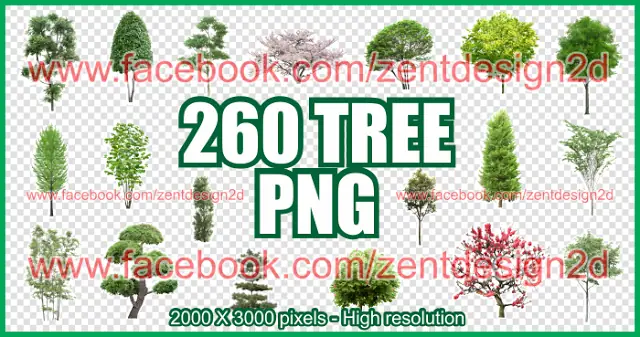 260 Arboles - PNG