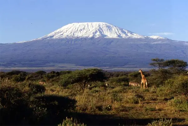 fuji
