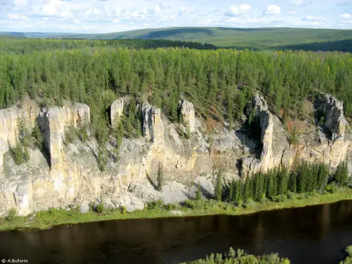 El bosque de piedra, mundo impresionante.