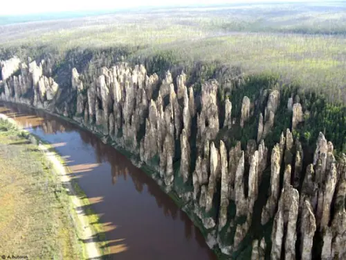 El bosque de piedra, mundo impresionante.