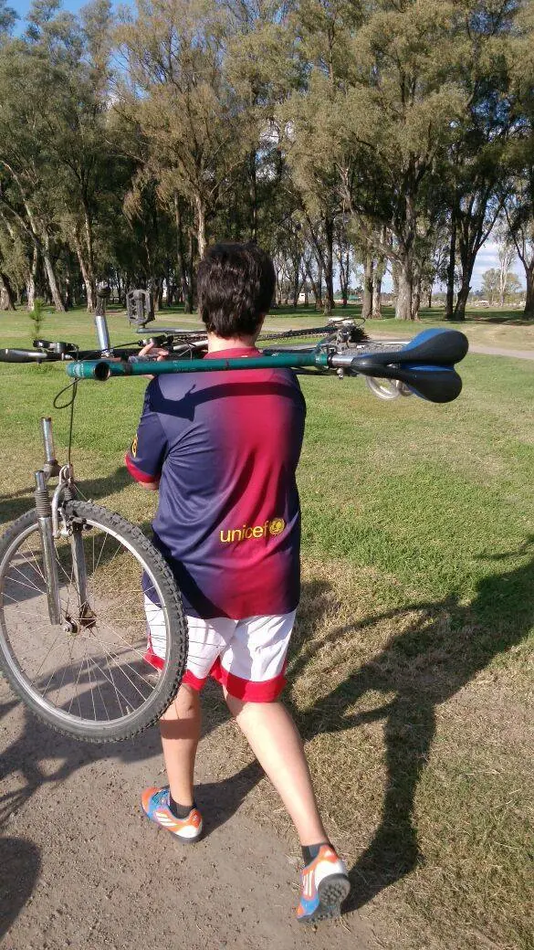 Picardia