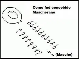 masch