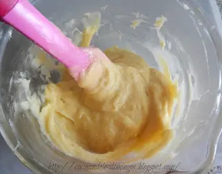 biscuit de chocolate