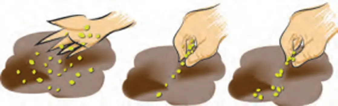 Tipos de siembra