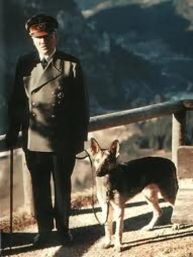 hitler el hundimiento youtube