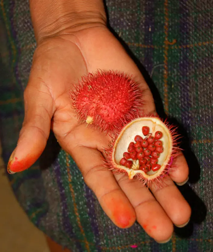Frutas que en argentina no conocemos