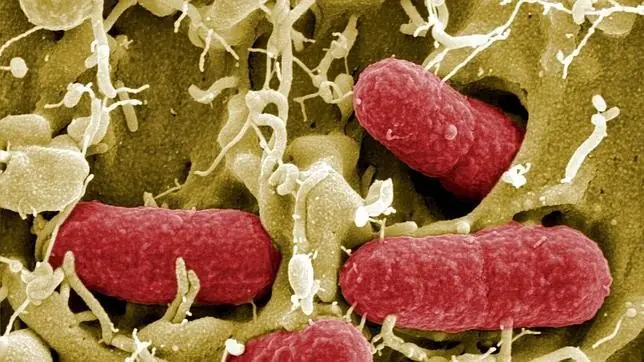 Podremos diagnosticar cáncer con un simple test de orina