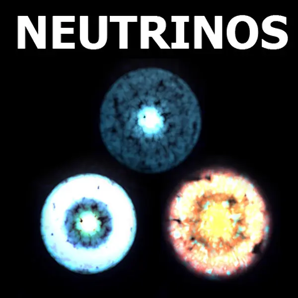 newton