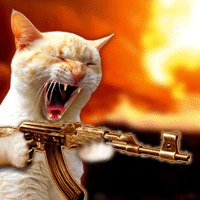 armas