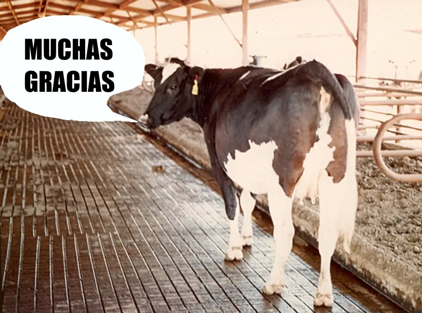 inventos