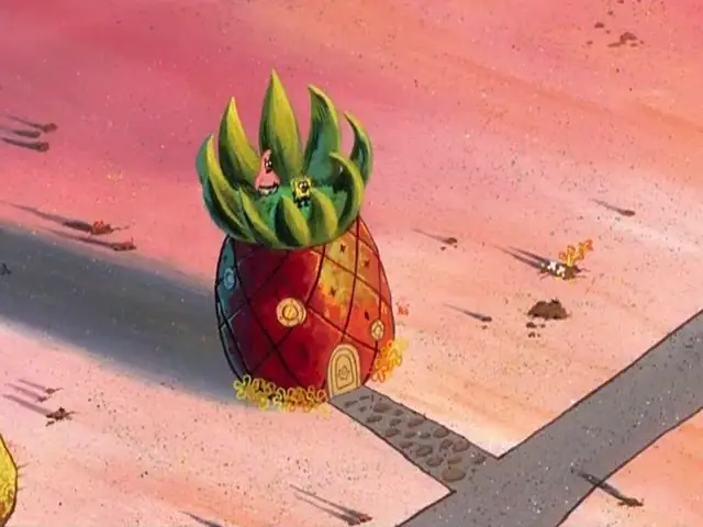 bob esponja