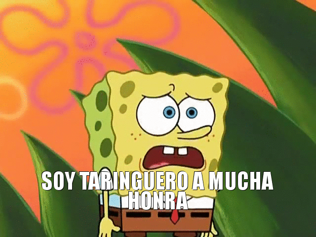 bob esponja