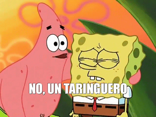 Soy taringuero a mucha honra