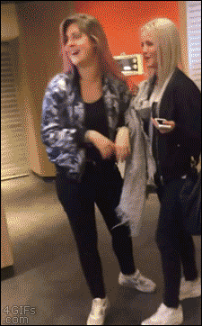 Mira lo que le hicieron a este gato en internet + gifs