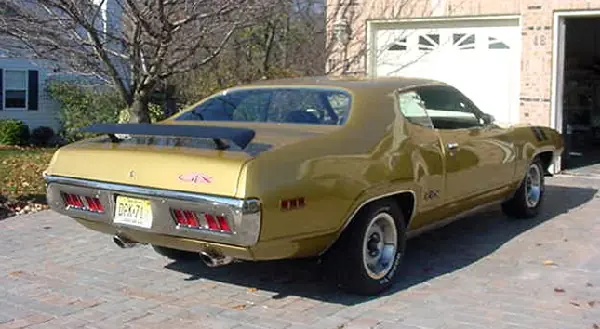 muscle