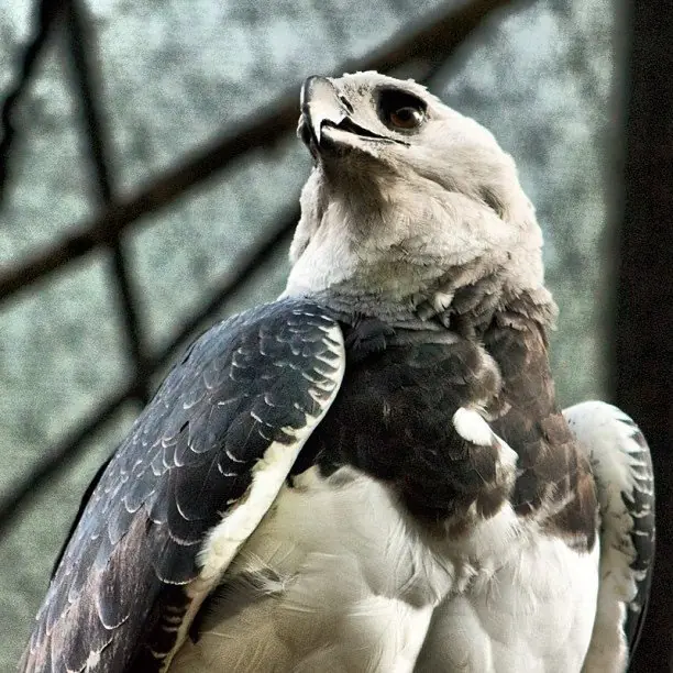 ecuador