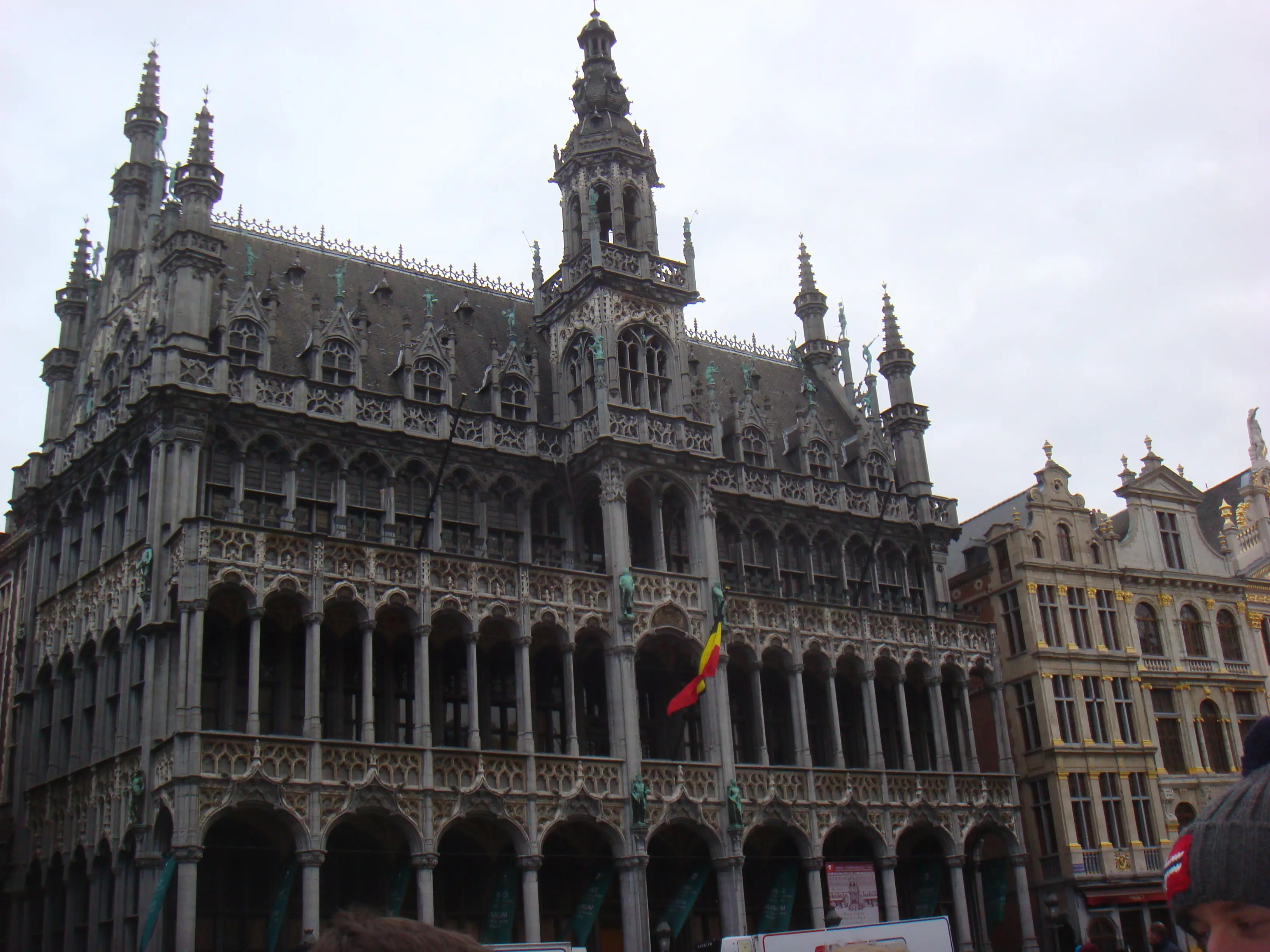 belgica