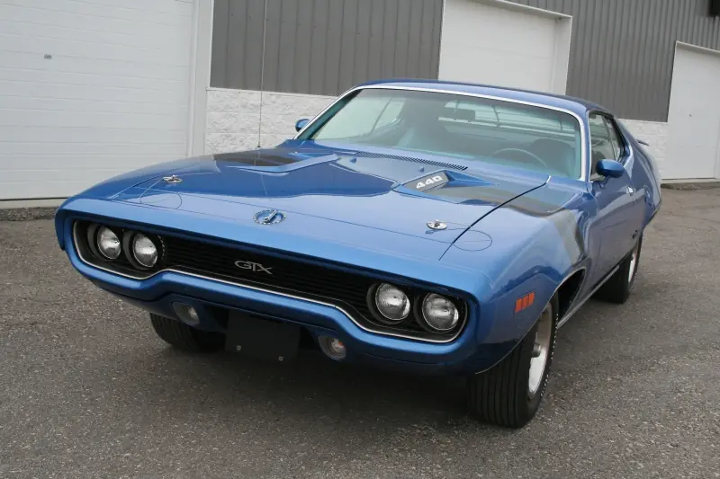 muscle