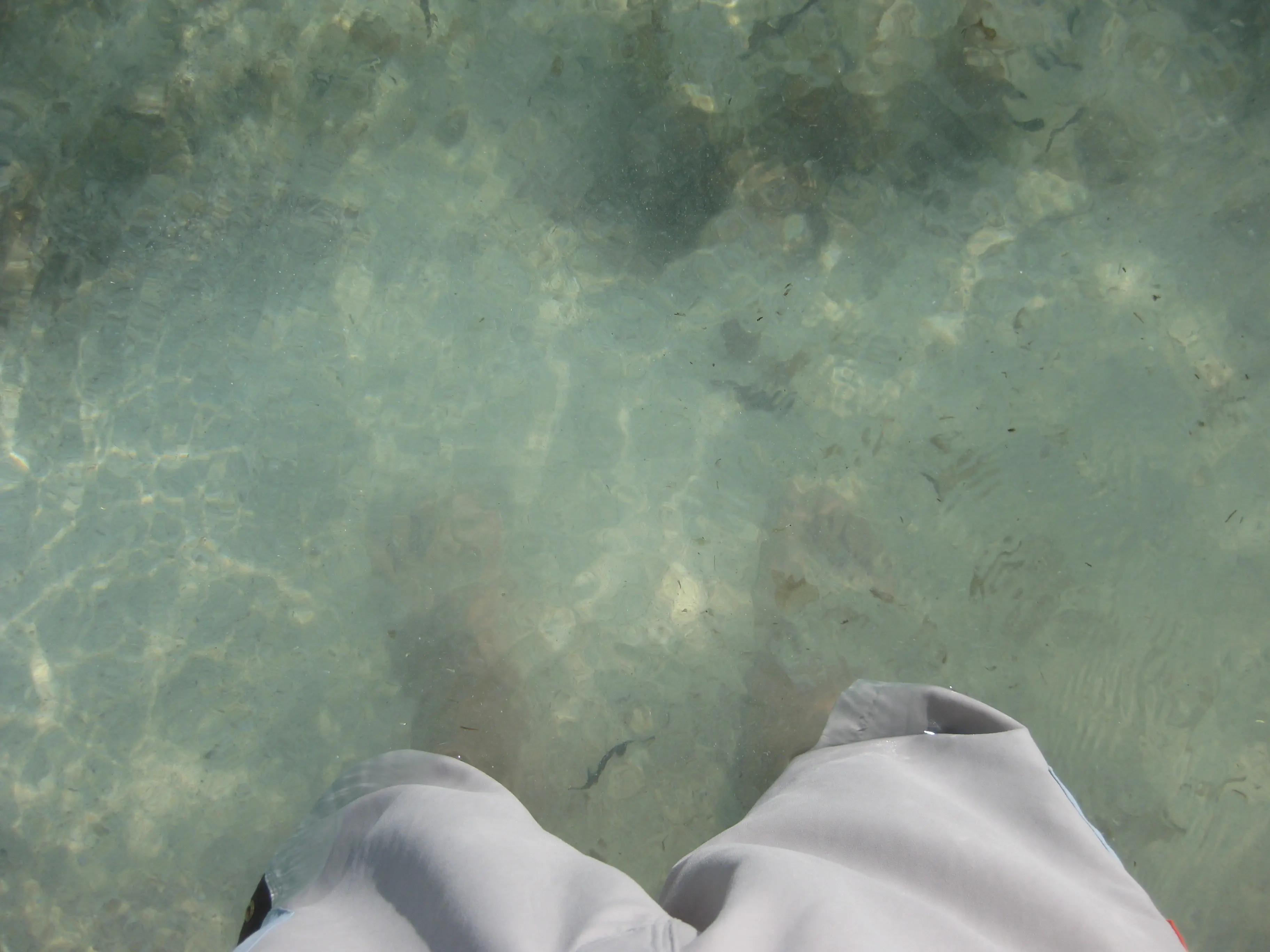 Viajo por europa y te lo muestro!!!