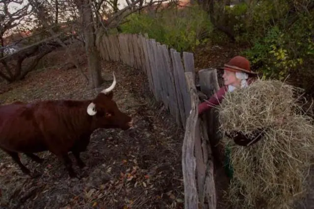 Datos Históricos y Curiosidades que nunca nos enseñaron